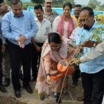 हरेला पर्व पर मालन धाम में हुआ वृक्षारोपण, पर्यावरण संरक्षण हमारी संस्कृति और जिम्मेदारी : ऋतु खण्डूडी भूषण